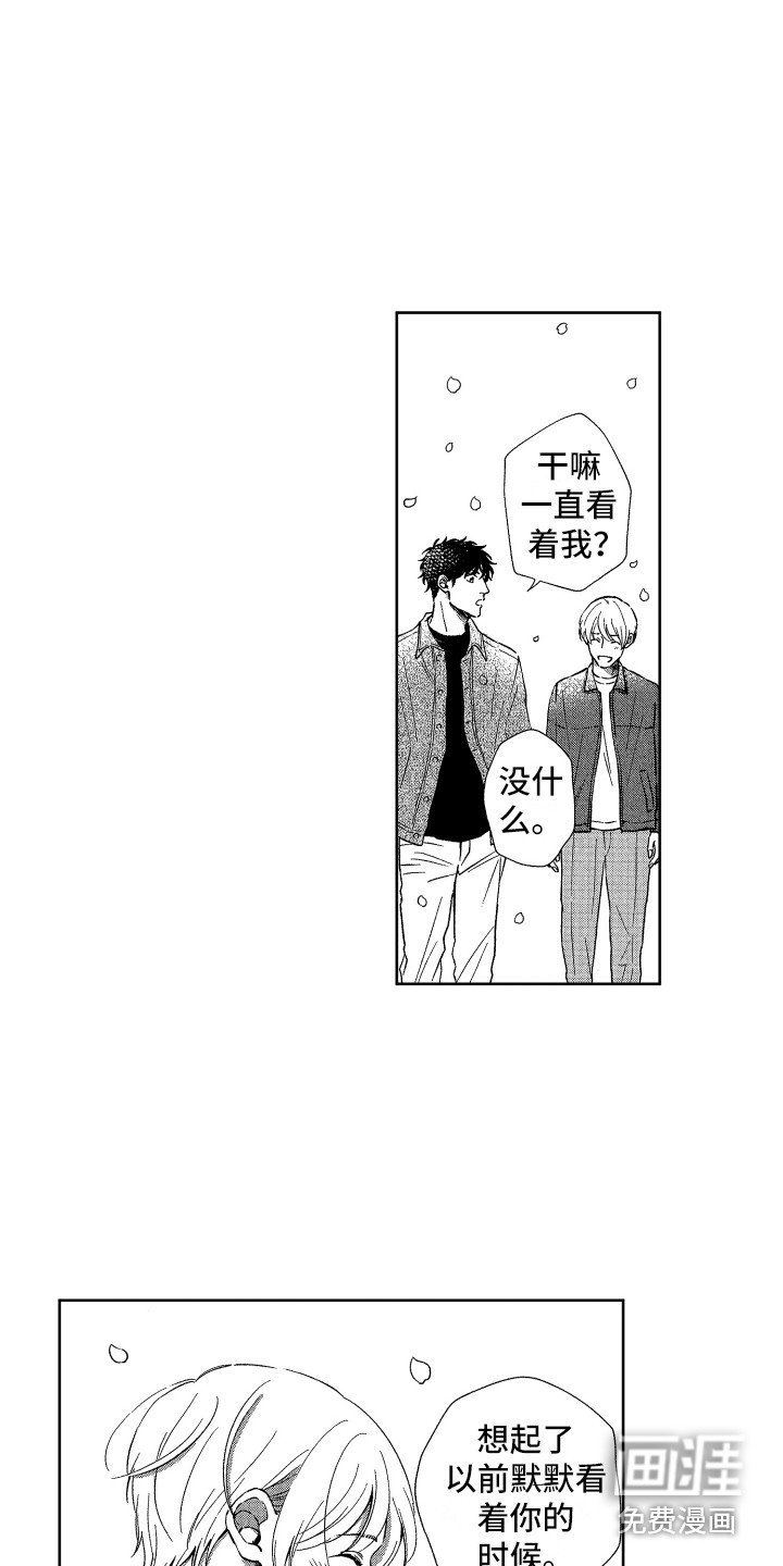 第21章：庆典
