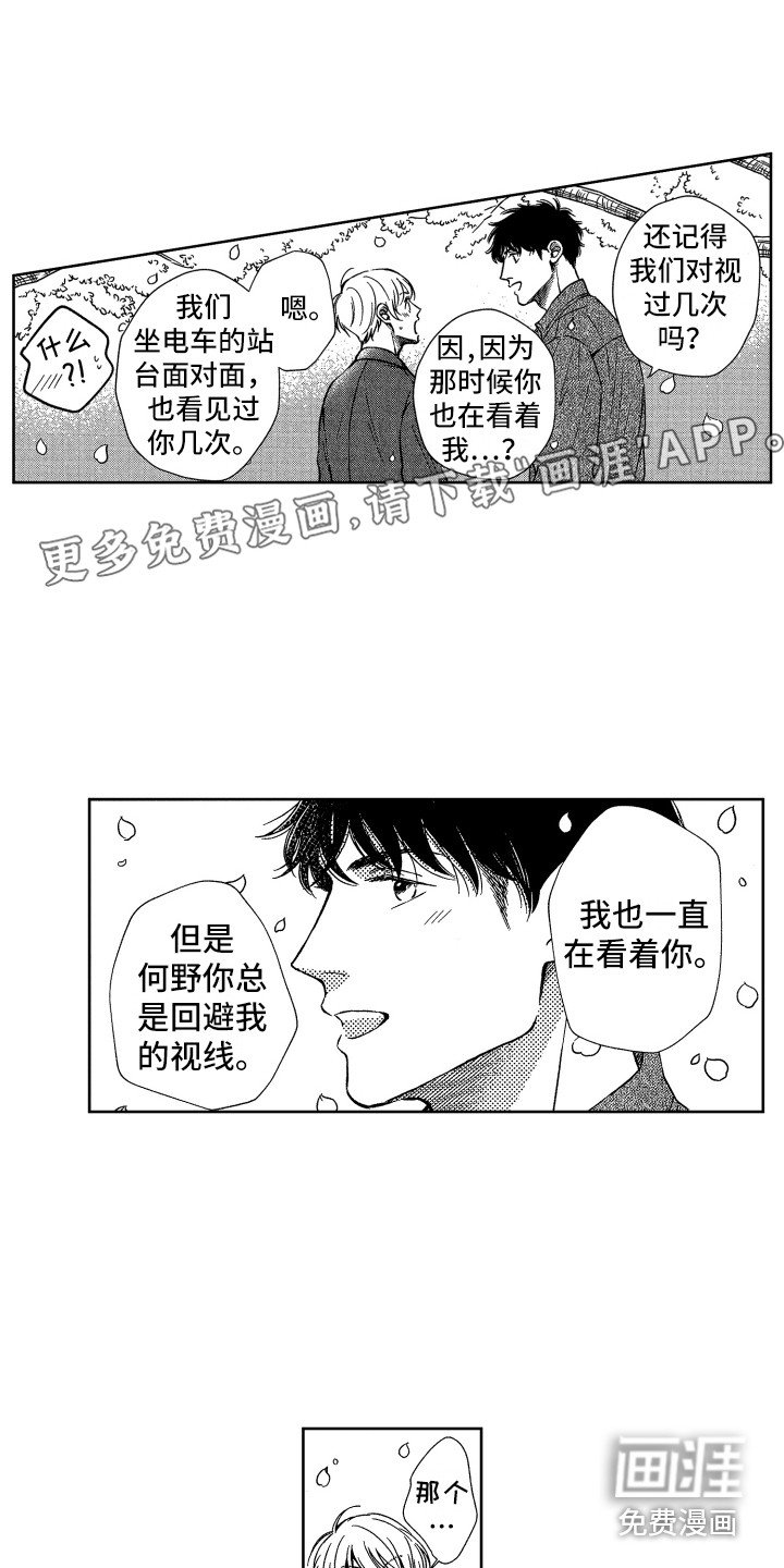 第22章：视线