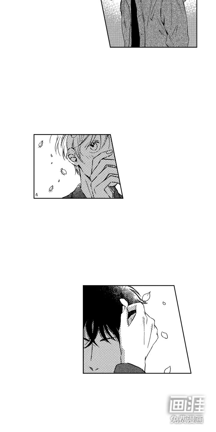 第22章：视线