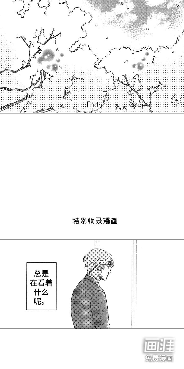 第22章：视线
