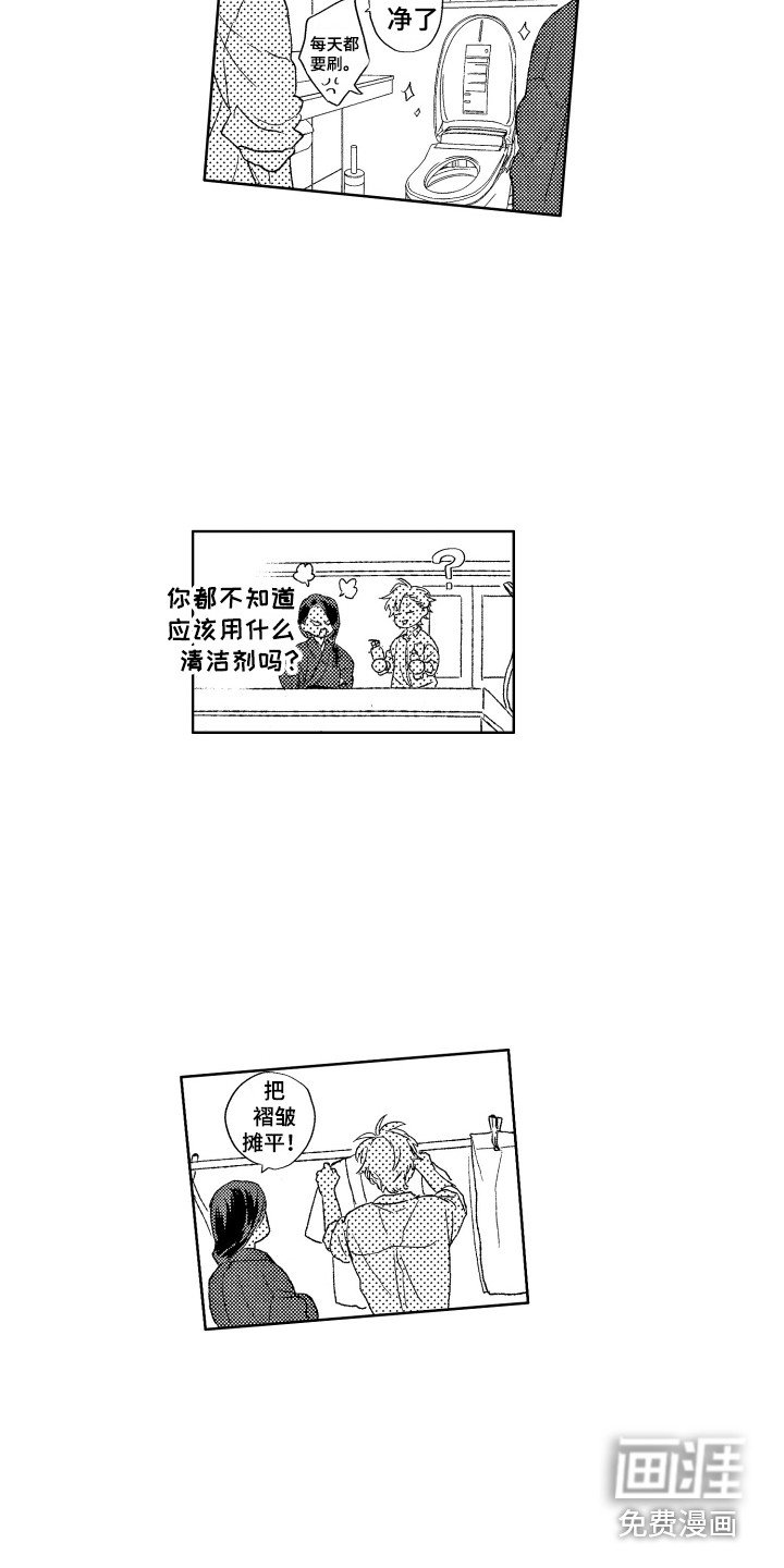 第26章：考察