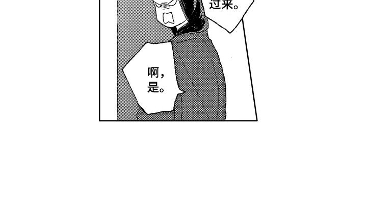 第26章：考察