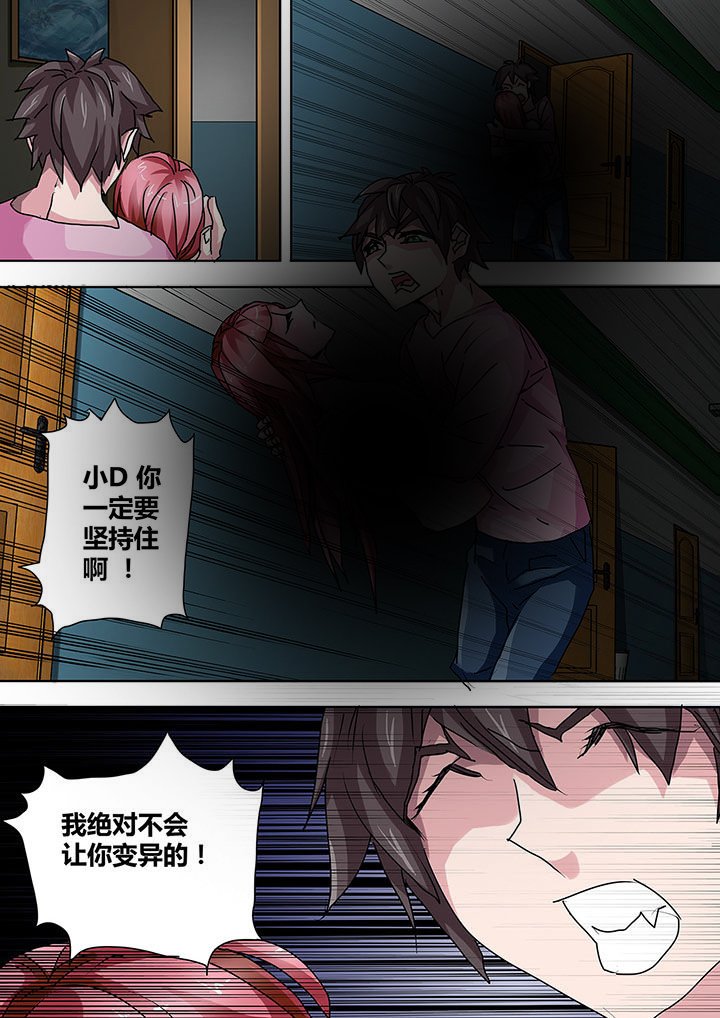 第11章：
