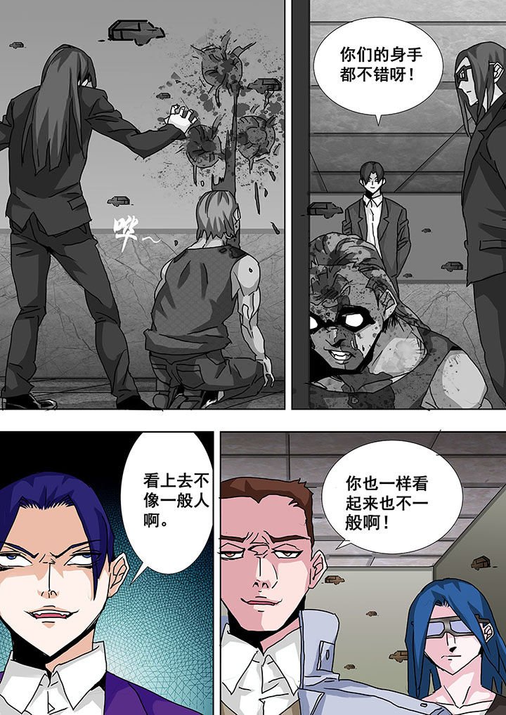 第56章：