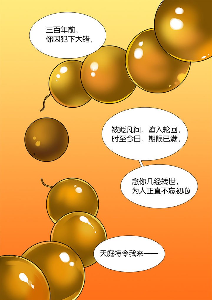 第3章：