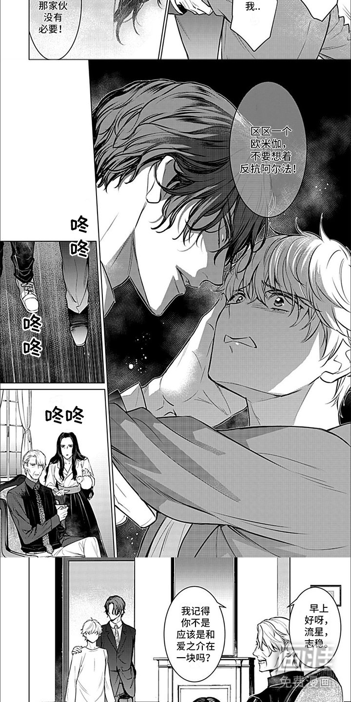第15章：选择