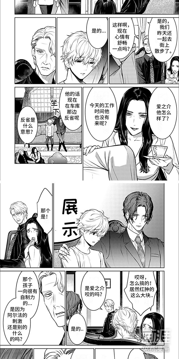 第15章：选择