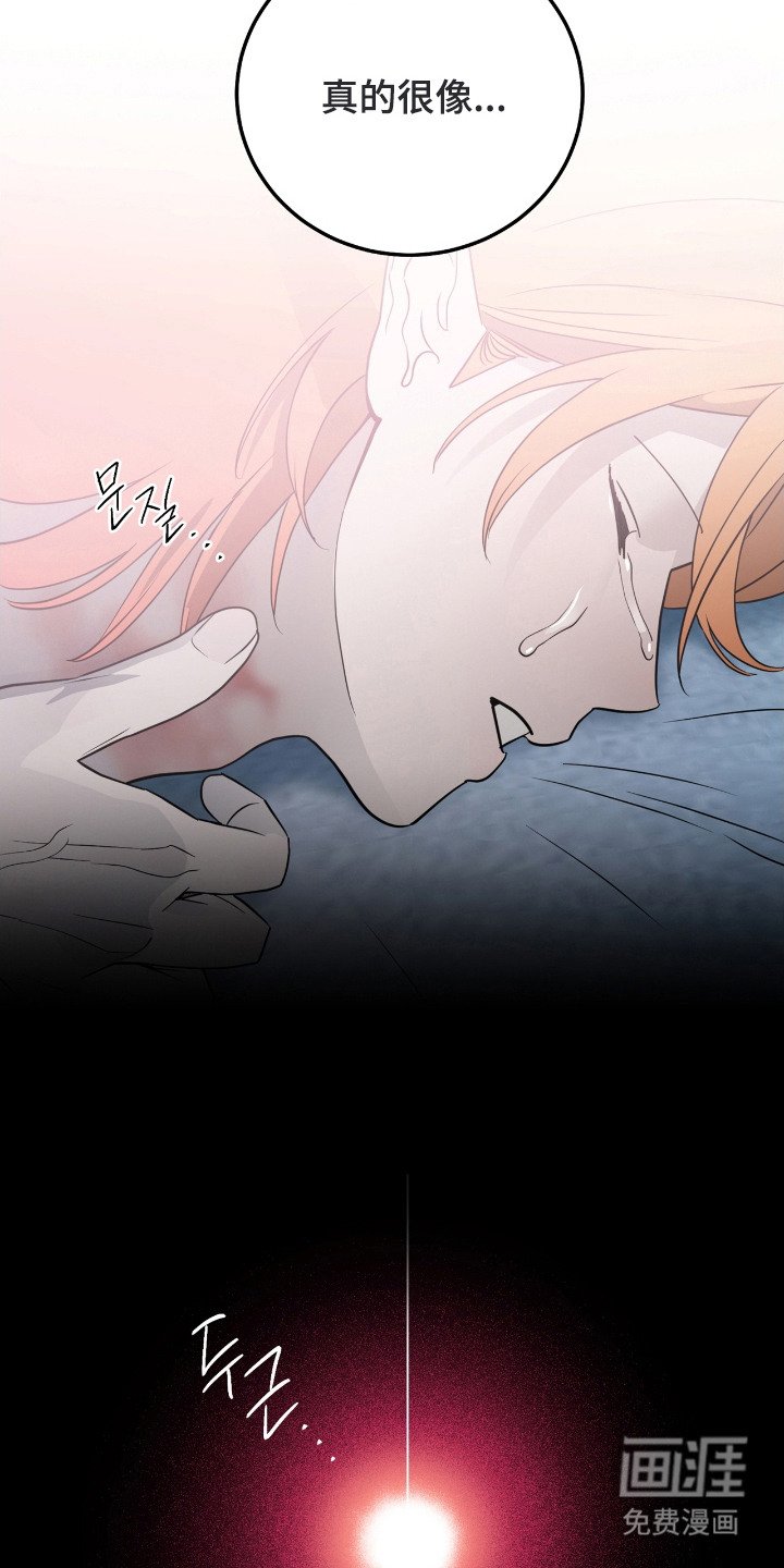 第5章：疯子