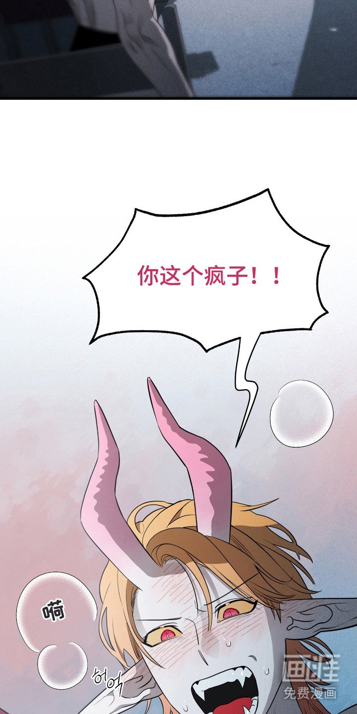 第5章：疯子