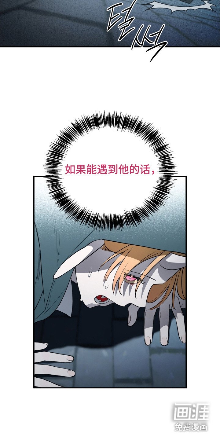 第8章：追杀