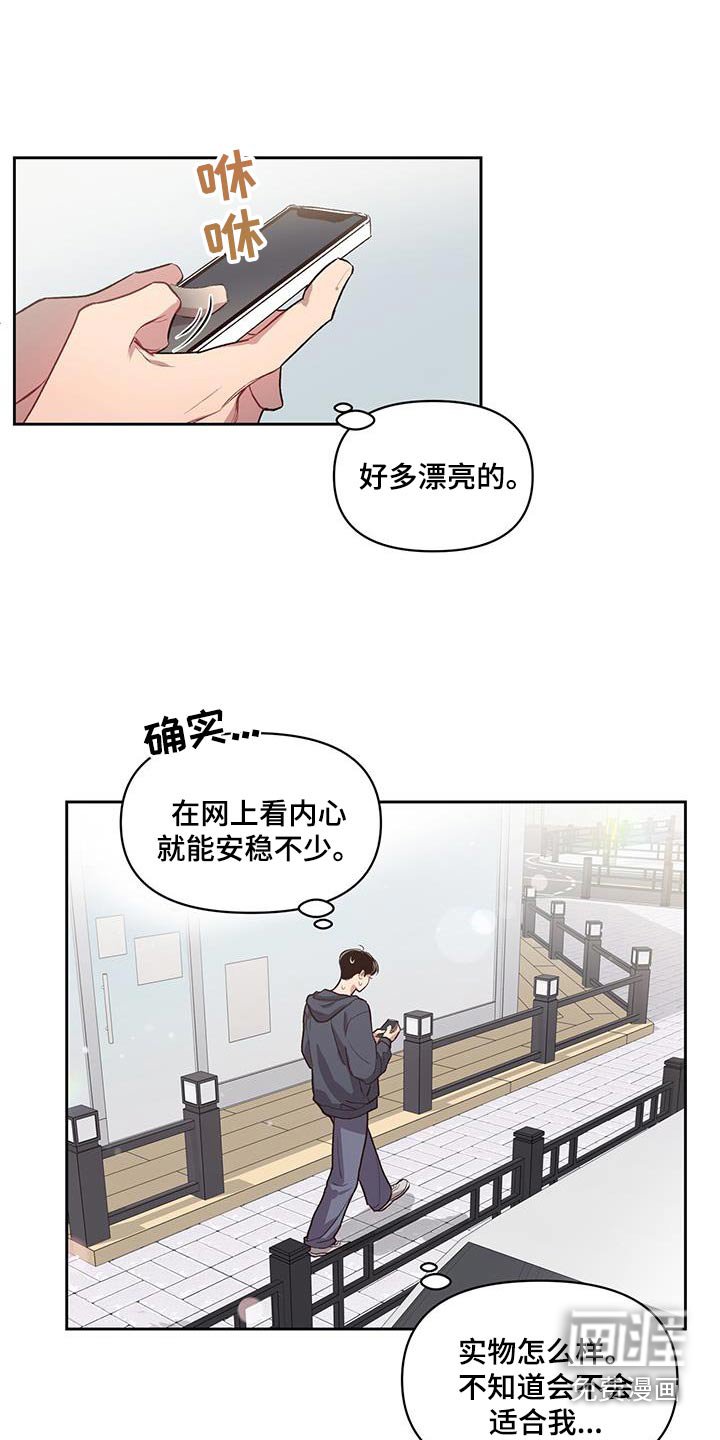 第29章：挑选
