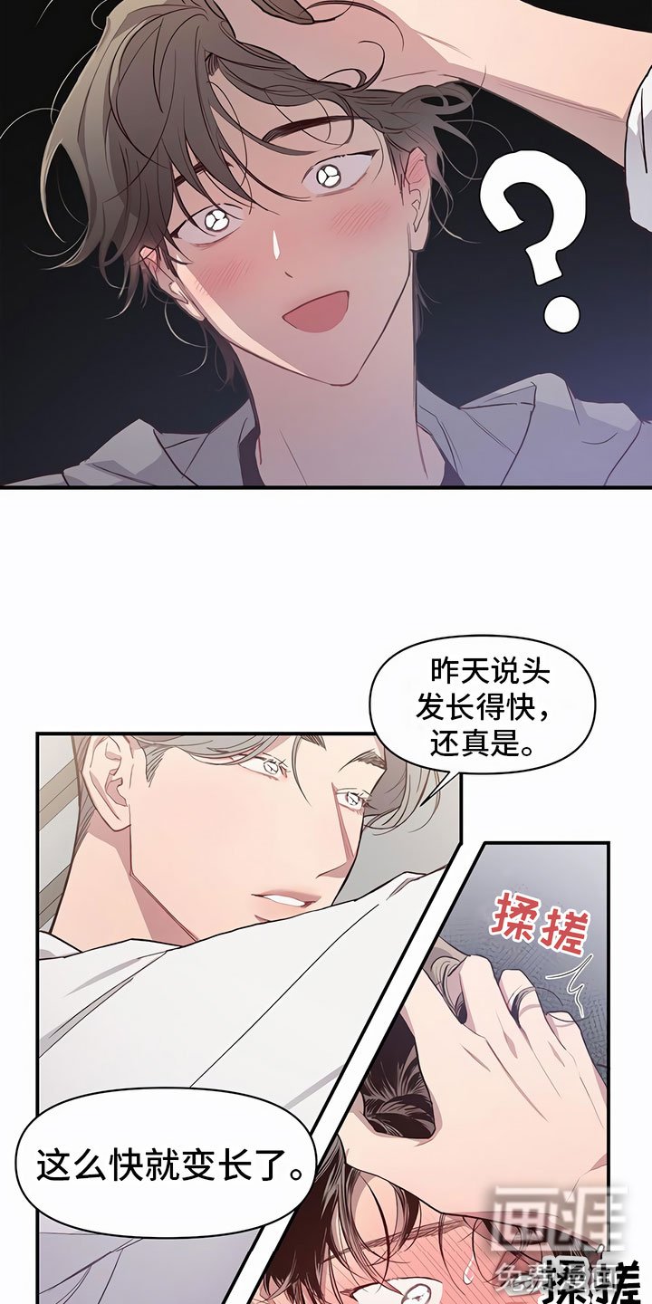 第5章：有趣