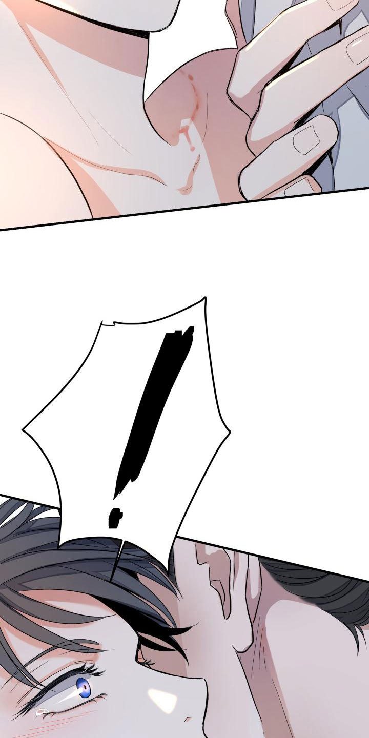 第2章：被袭击