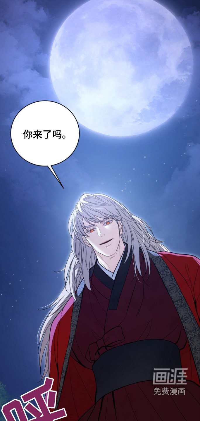 第65章：【第二季】消失了