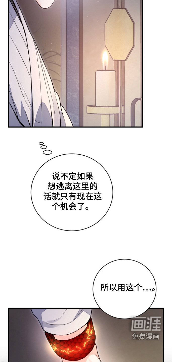第65章：【第二季】消失了