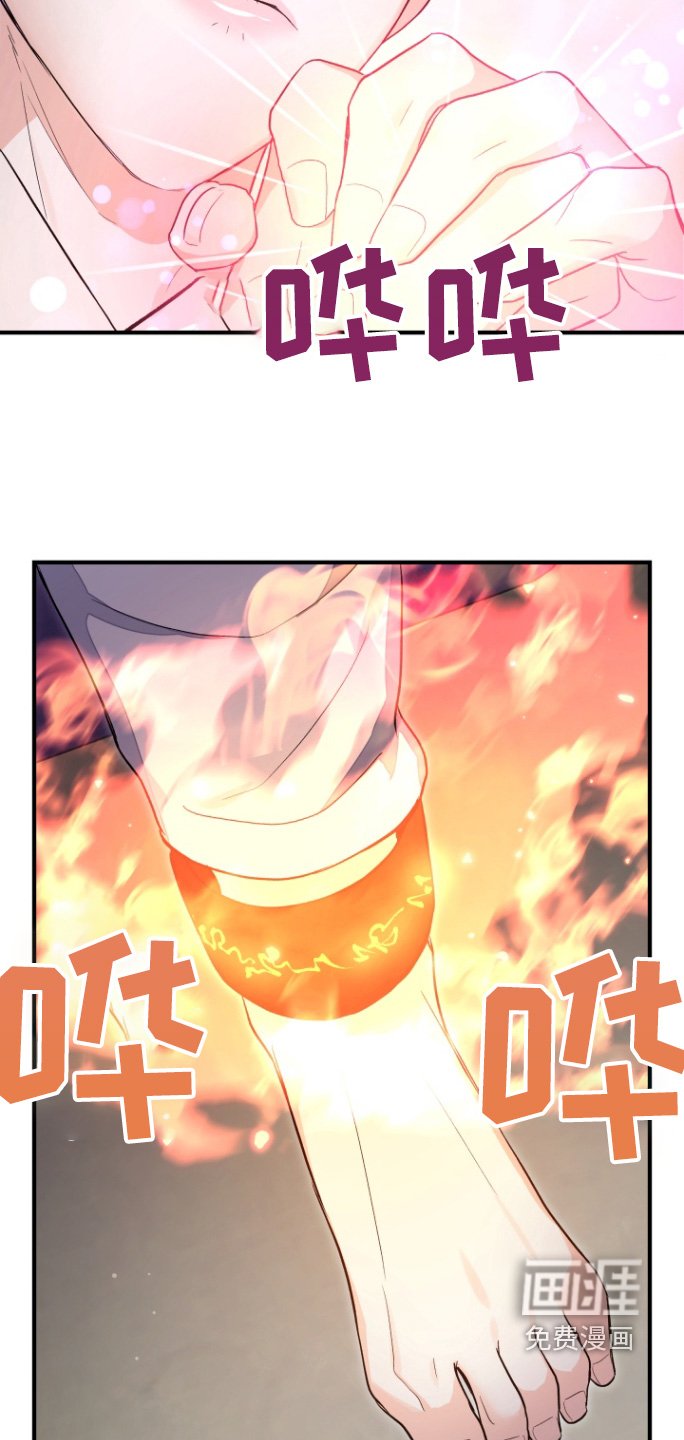 第65章：【第二季】消失了