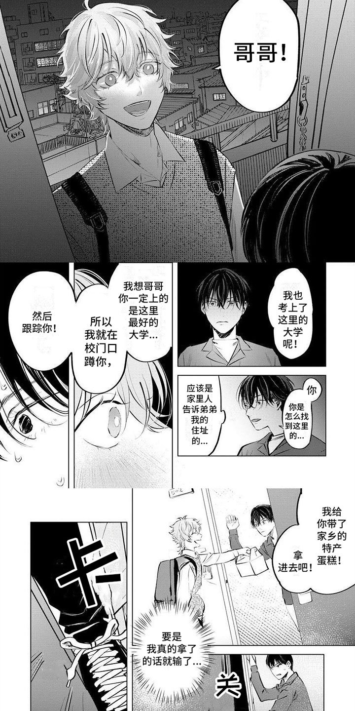 第3章：只喜欢哥哥