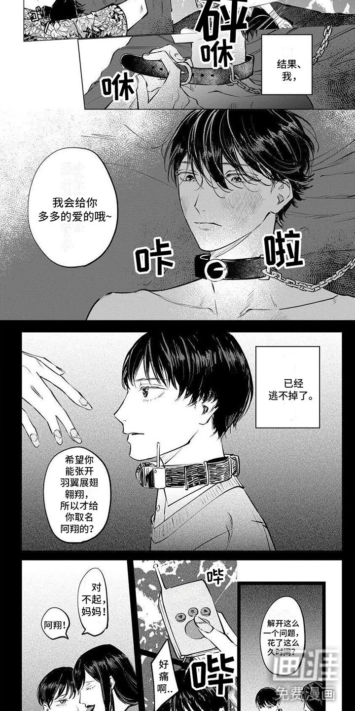 第9章：不会有错