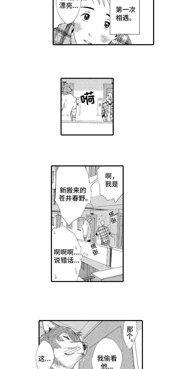 第1章：疲惫