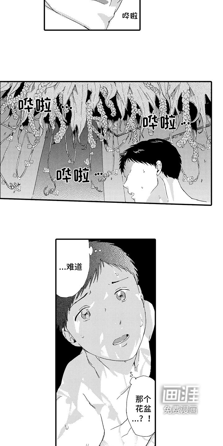 第19章：【番外】决定（完结）
