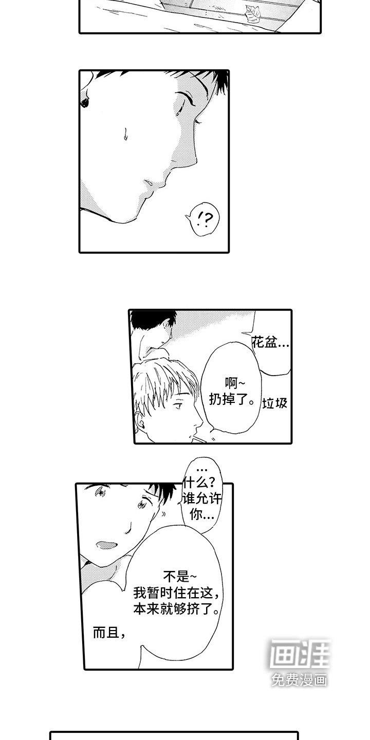 第19章：【番外】决定（完结）