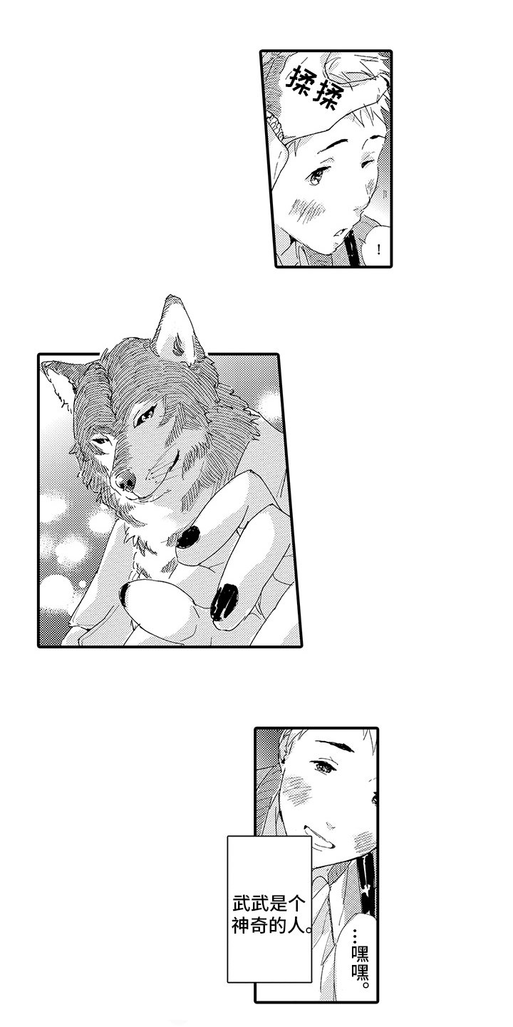 第3章：喜欢