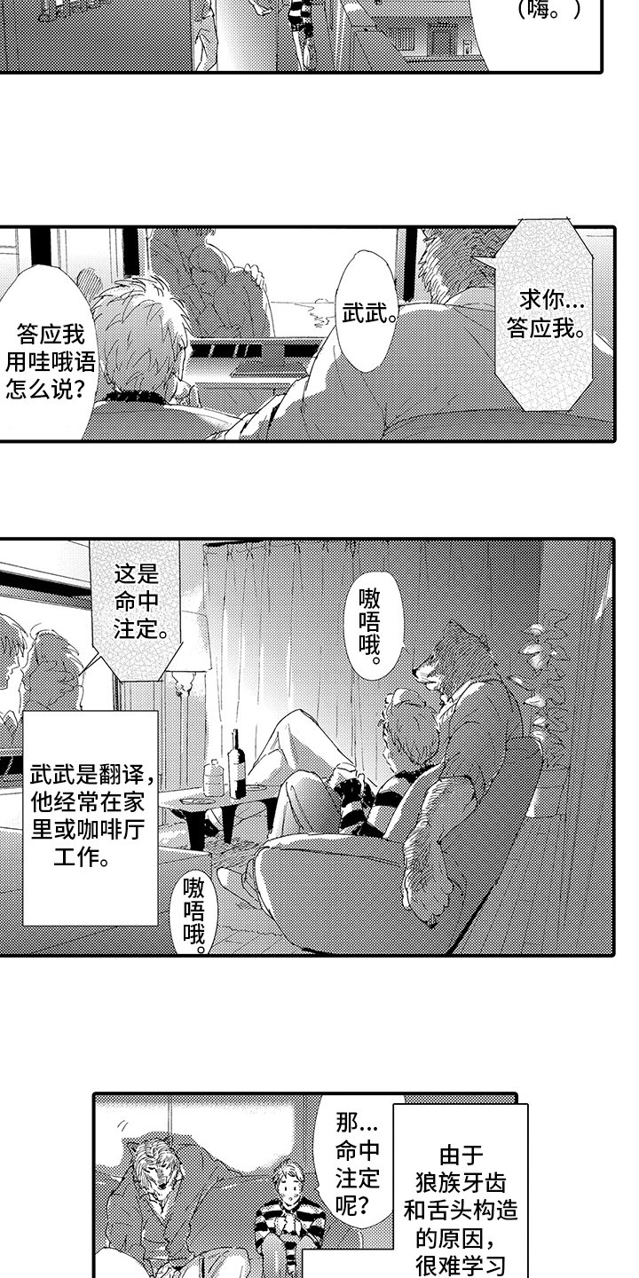 第3章：喜欢