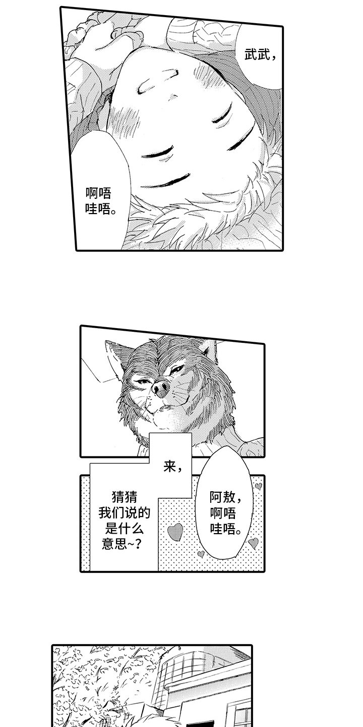 第3章：喜欢