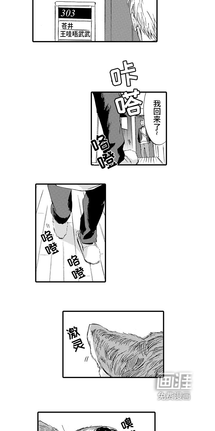 第4章：同居