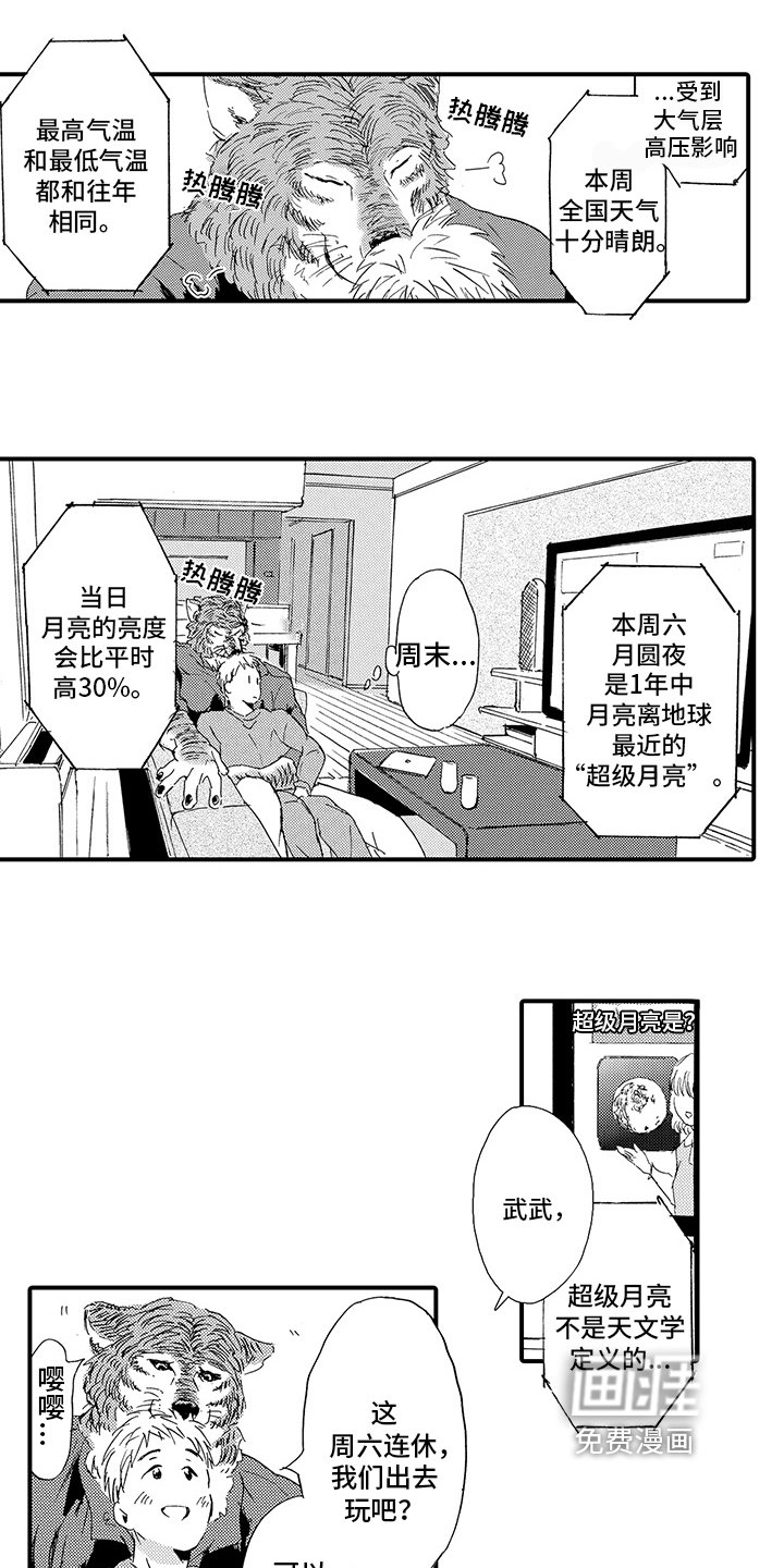 第5章：评价