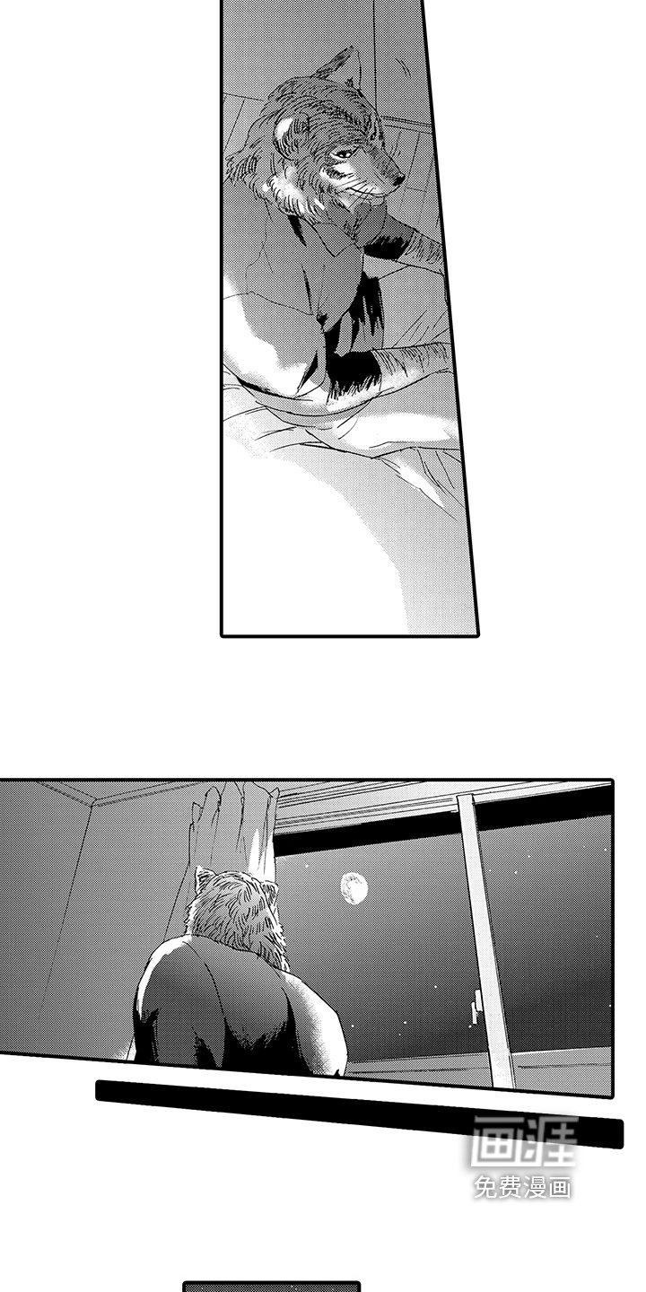 第5章：评价