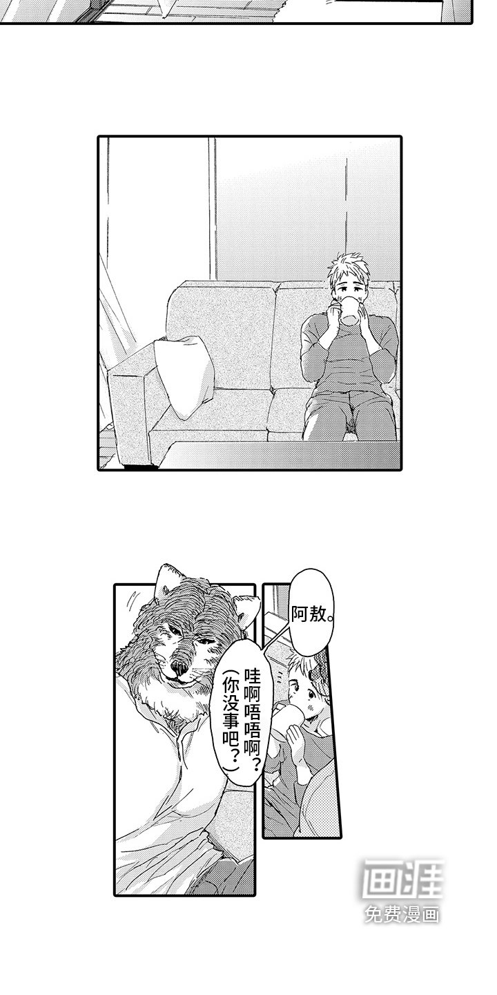 第7章：发作