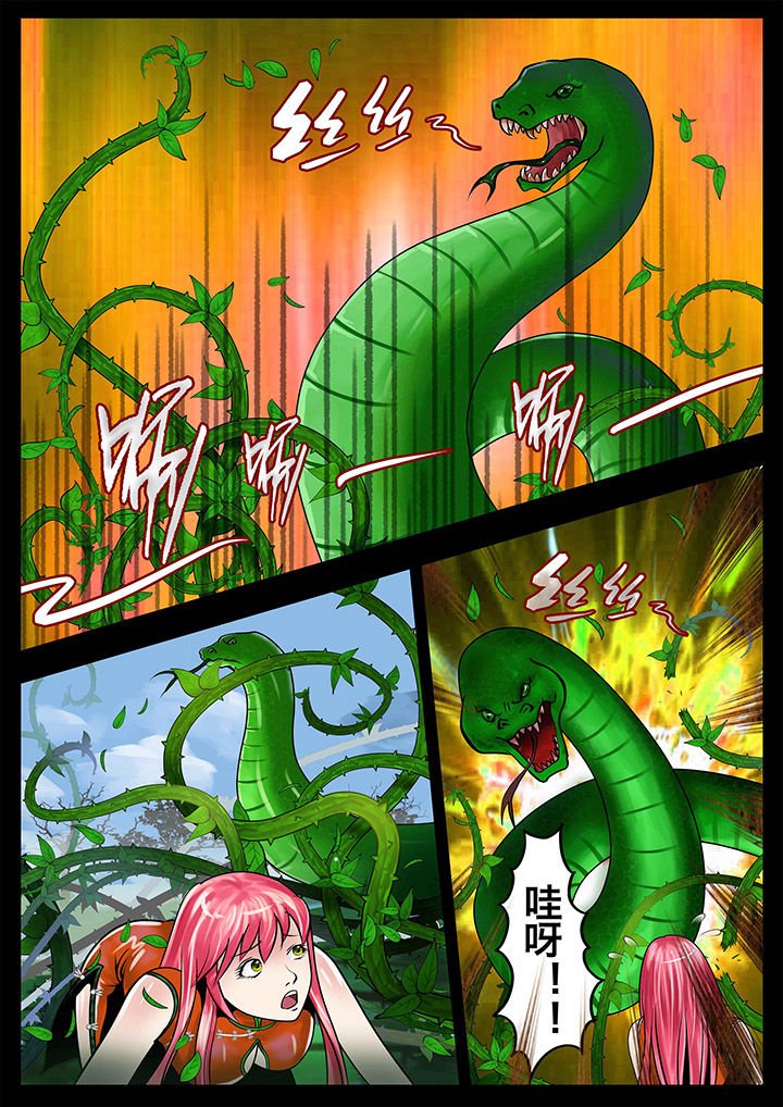 第13章：