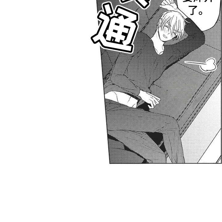 第16章：很开心