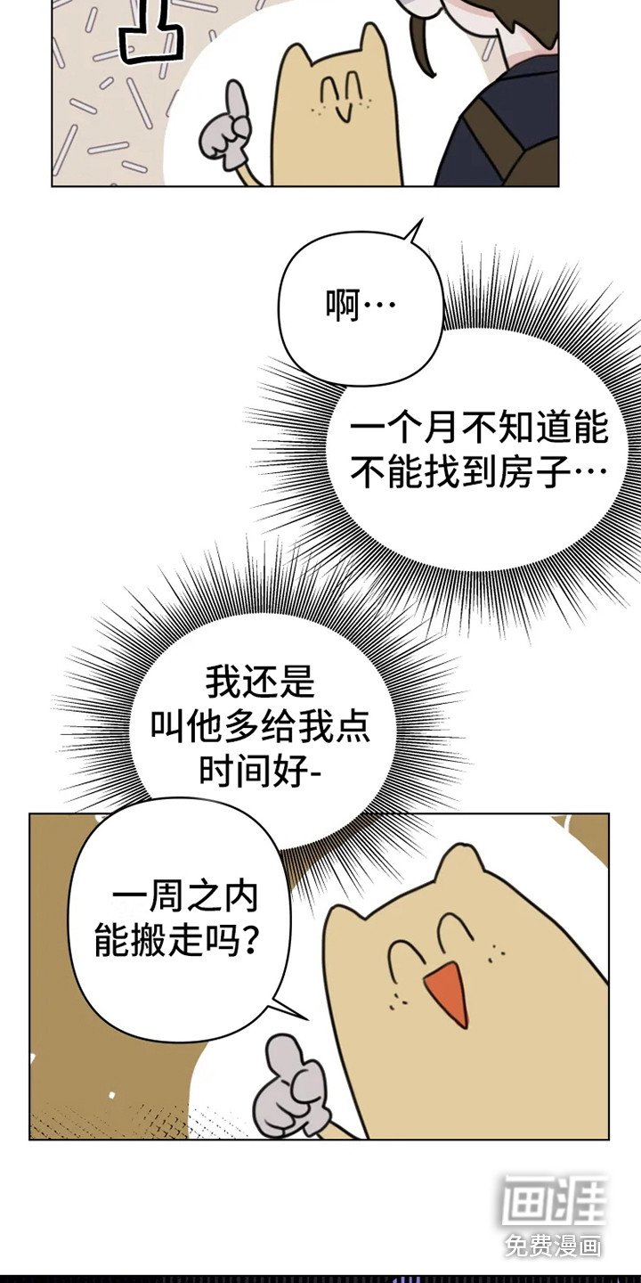 第13章：悲惨
