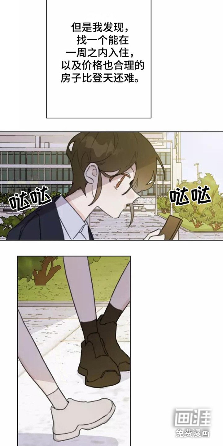第13章：悲惨