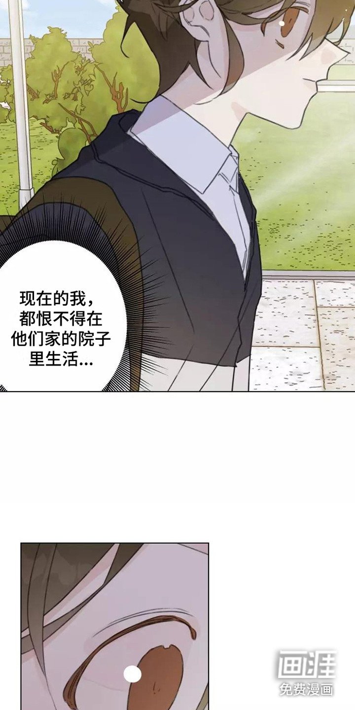 第13章：悲惨