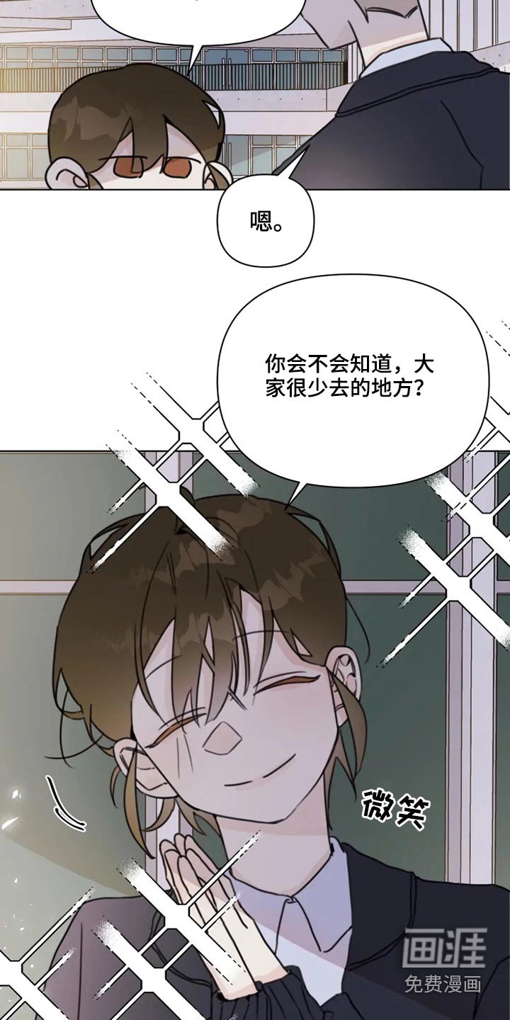 第19章：怎么办