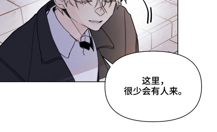 第19章：怎么办