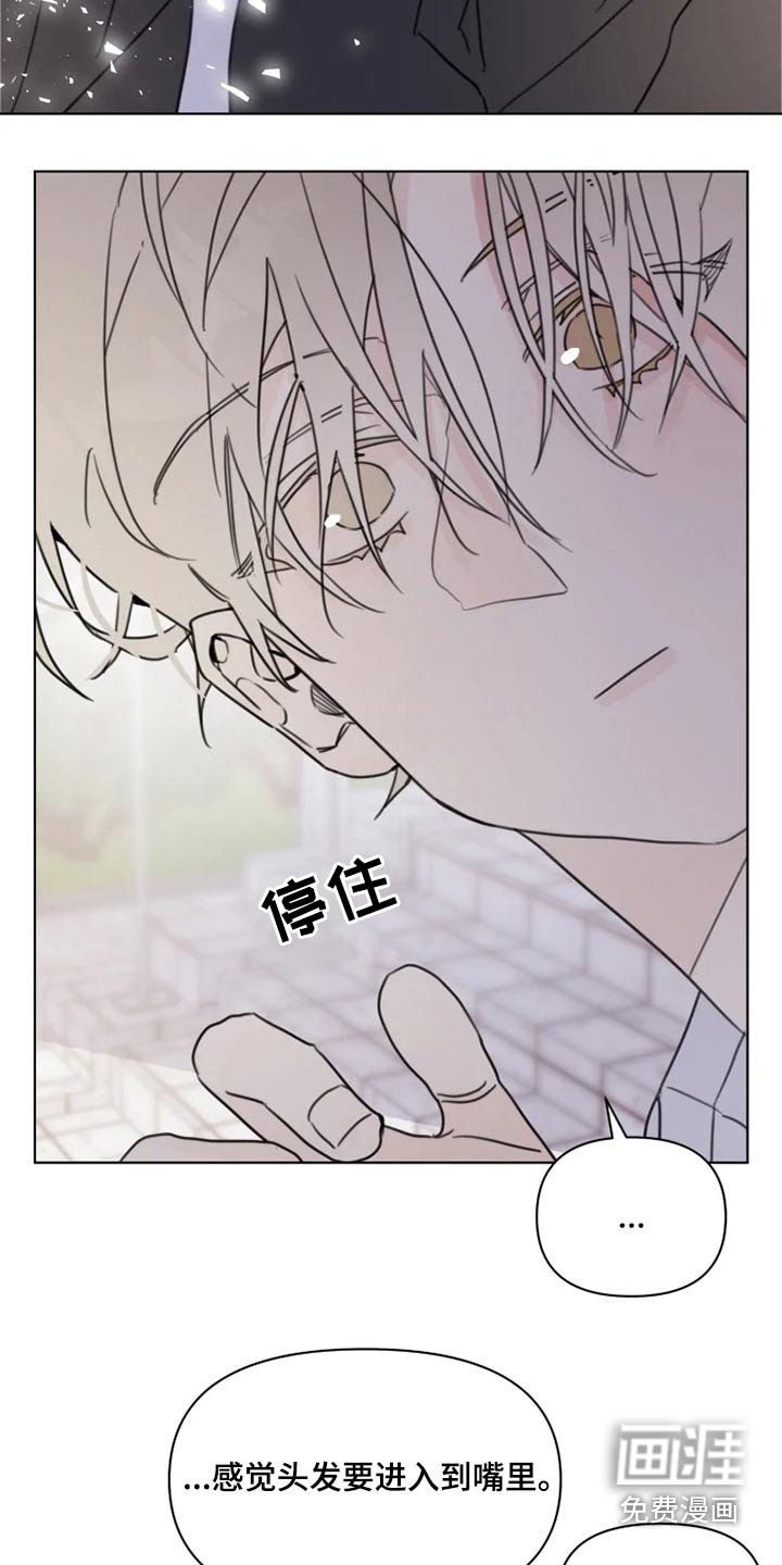 第19章：怎么办