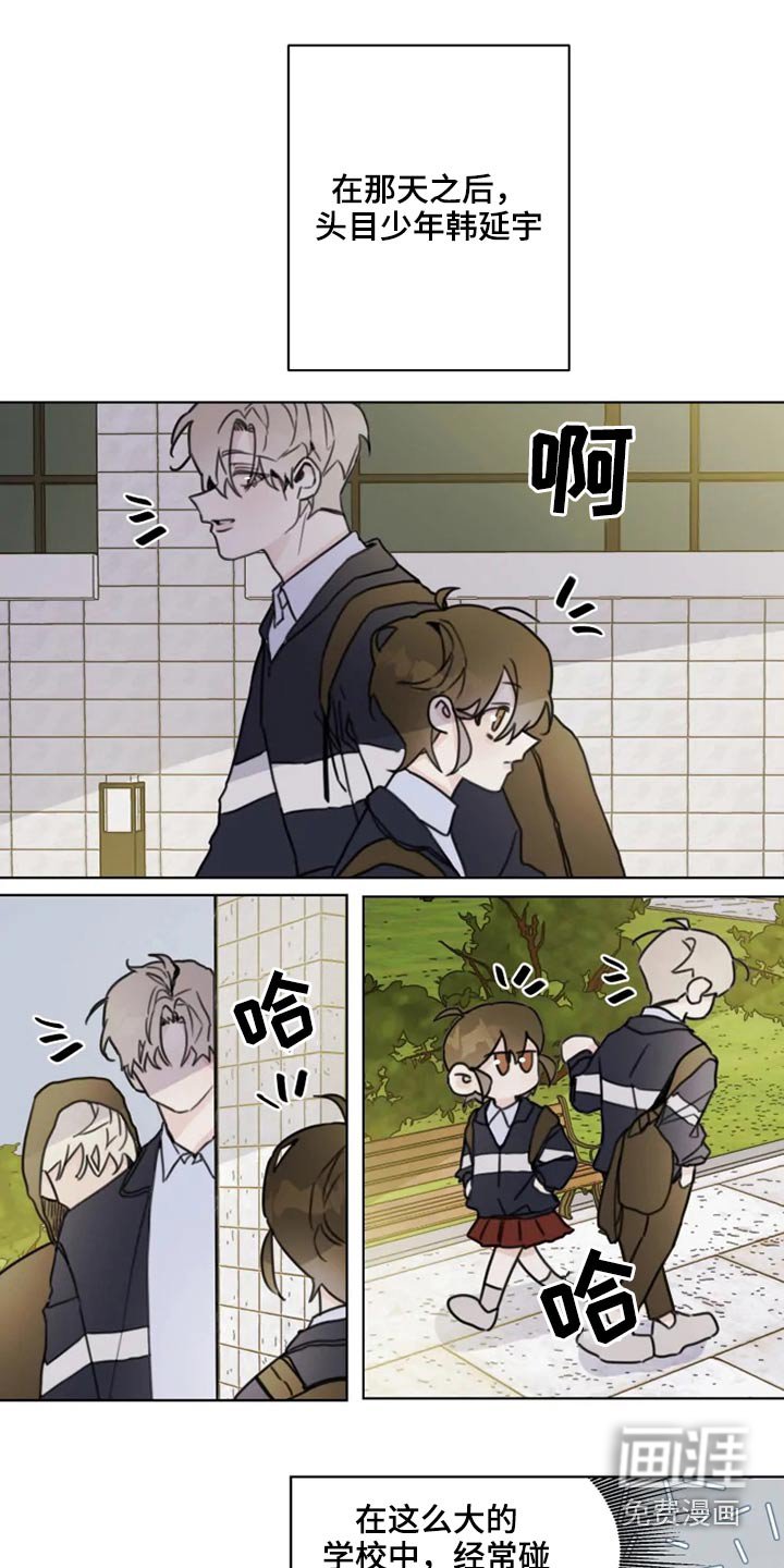 第19章：怎么办