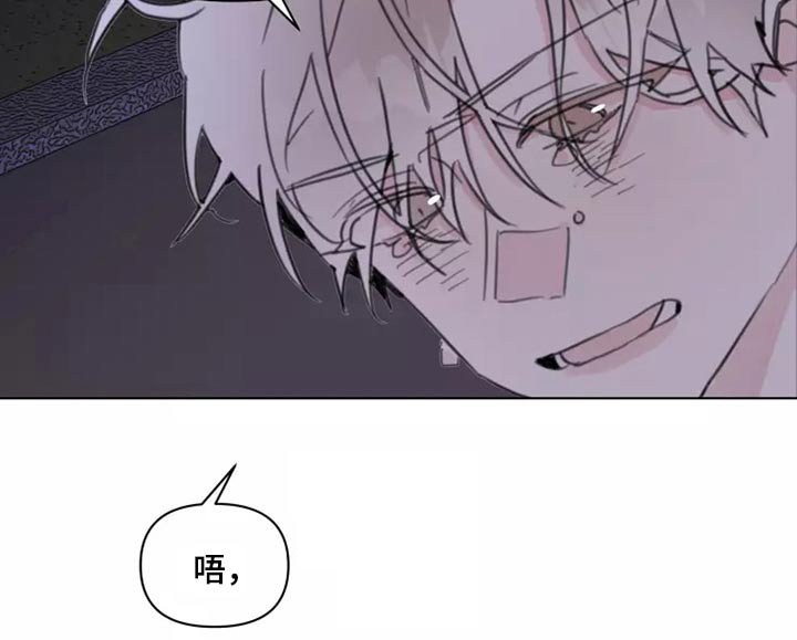 第23章：姐姐