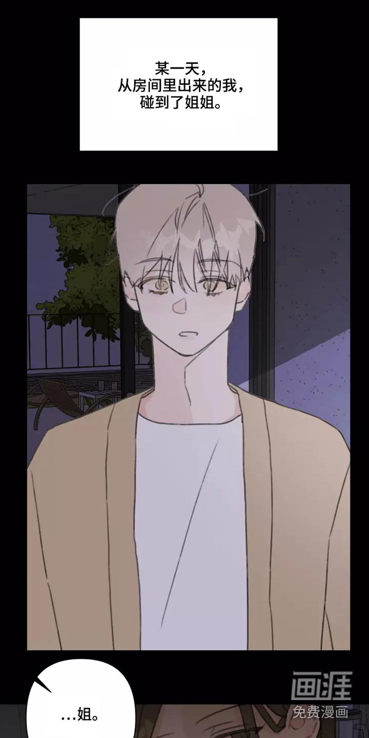 第27章：姐姐