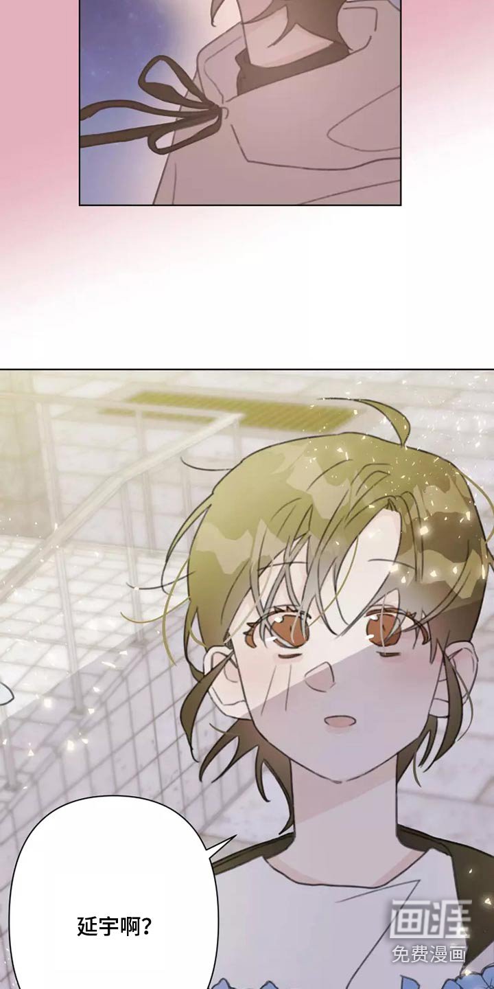 第30章：邻居