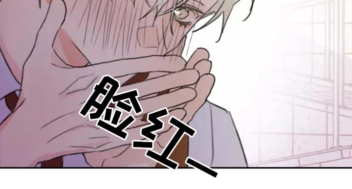 第30章：邻居