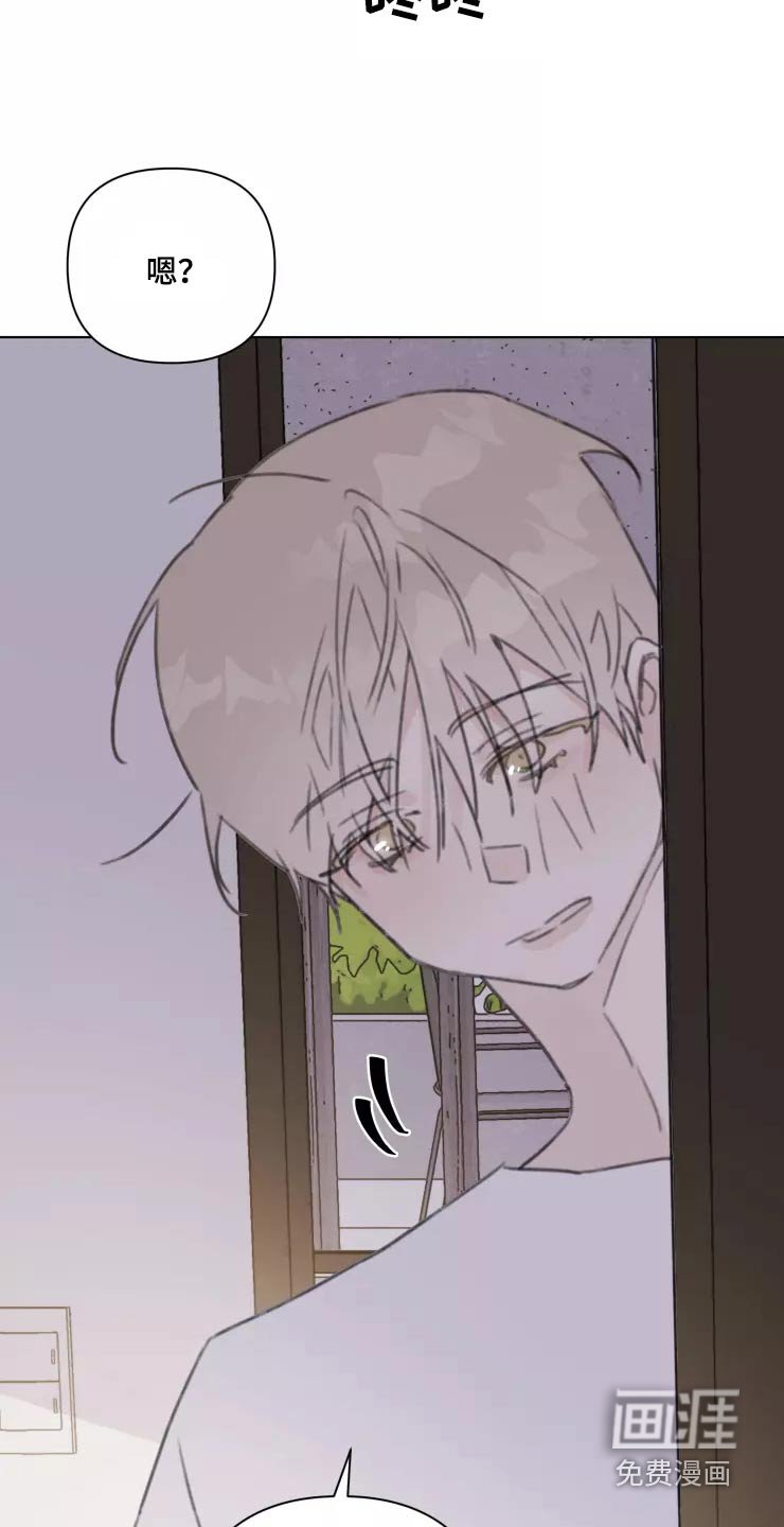 第32章：试探