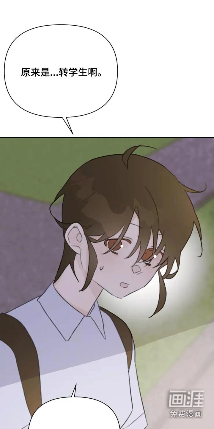 第38章：转学生
