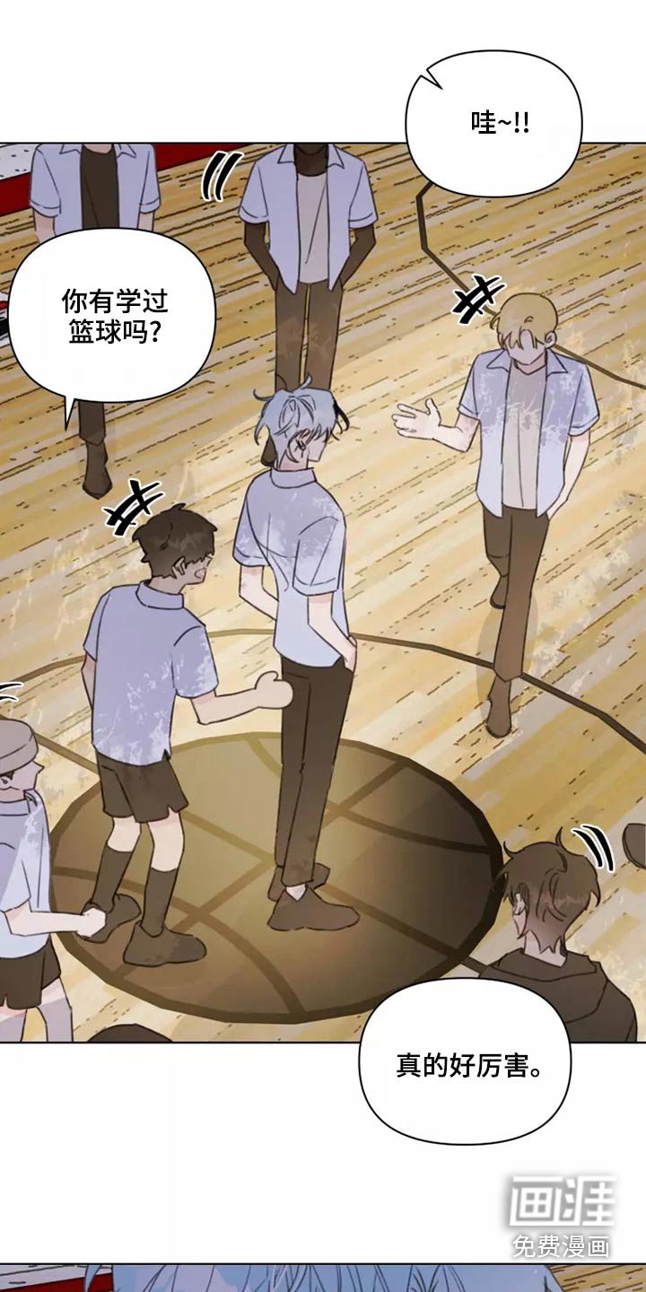第39章：篮球