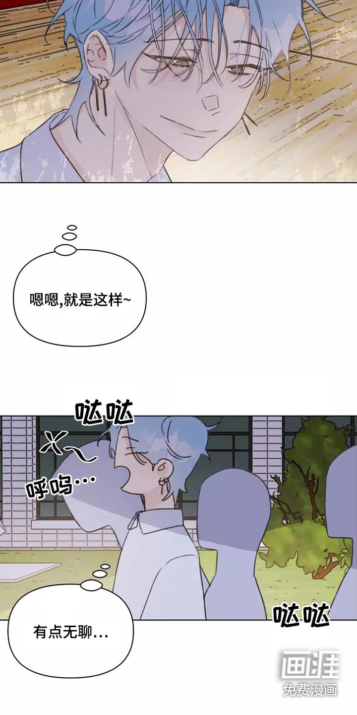 第39章：篮球