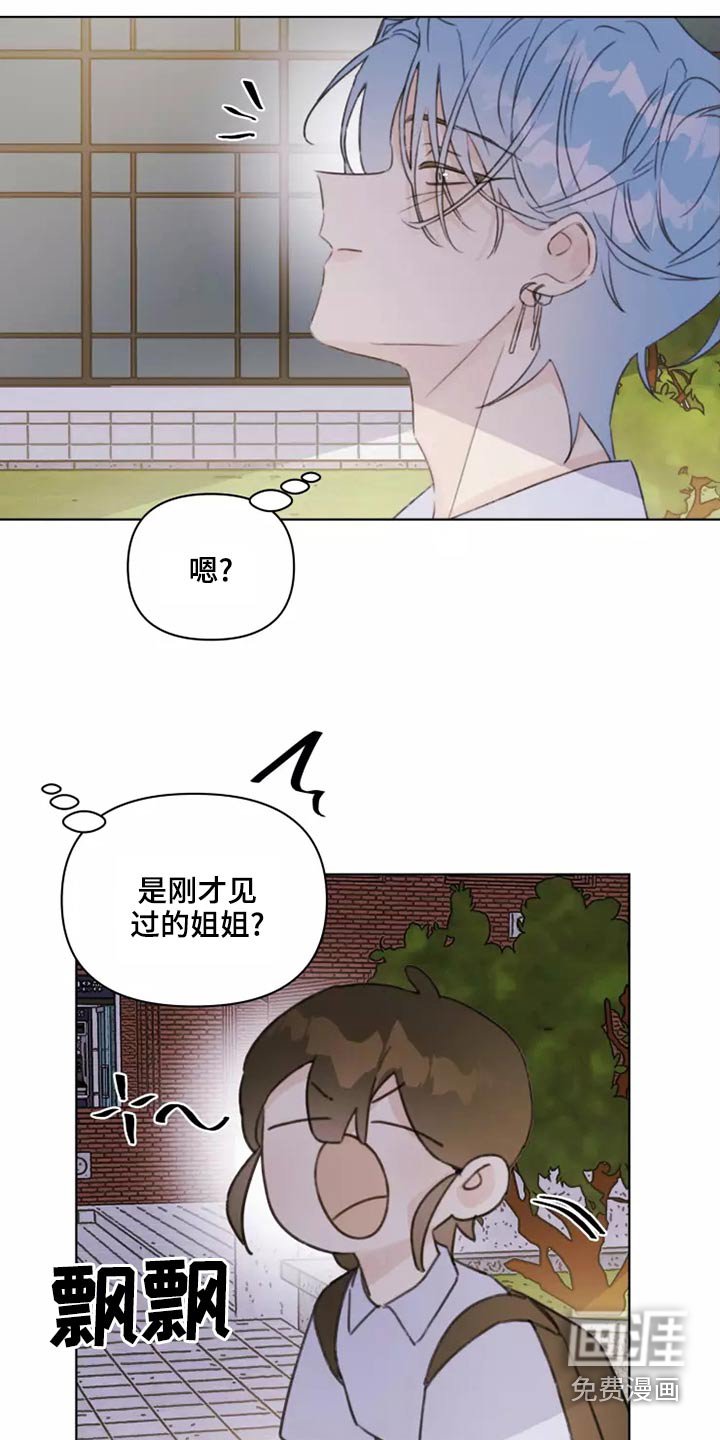 第39章：篮球